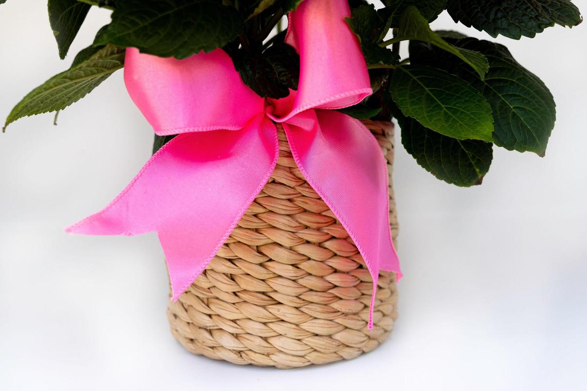 Classic Banana Weave Cachepot | Natural Woven Planter or Organizer