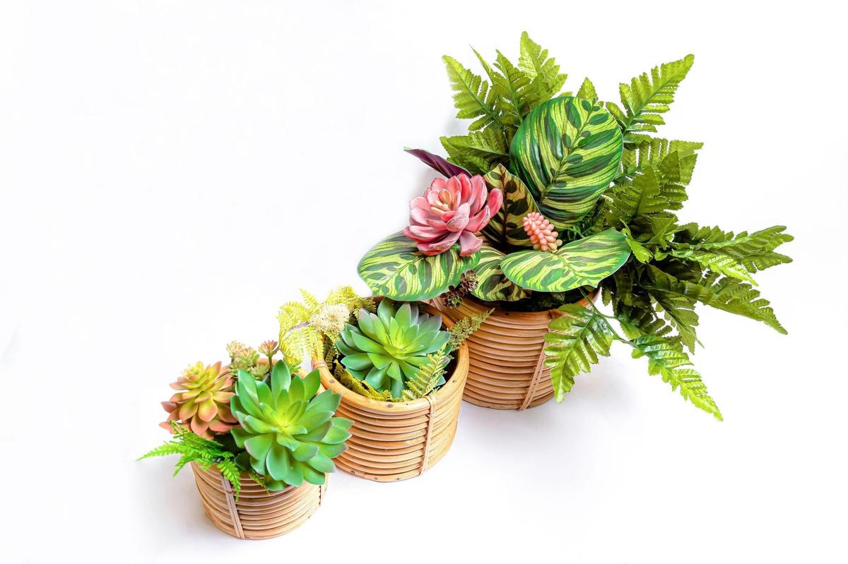 Classic Cane Cachepot | Handwoven Garden Planter
