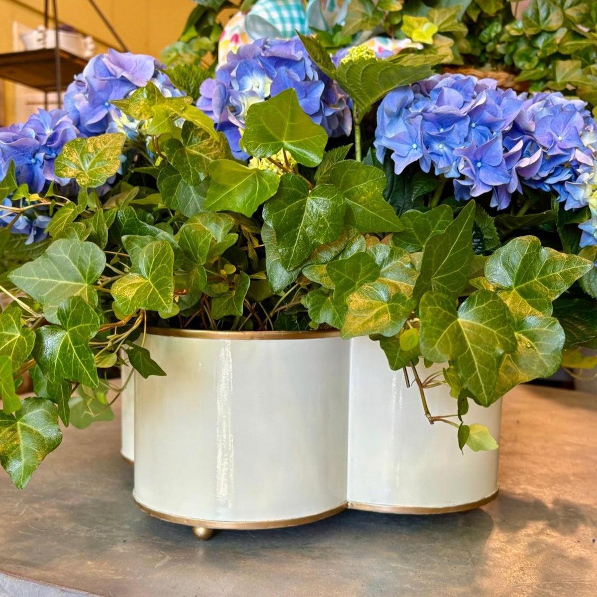 Classic Tole Quatrefoil Planter | Hand-Painted Metal Cachepot Centerpiece