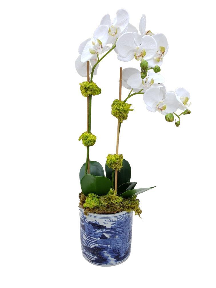 Faux Phalaenopsis Orchid - 22.5" - Double Stem