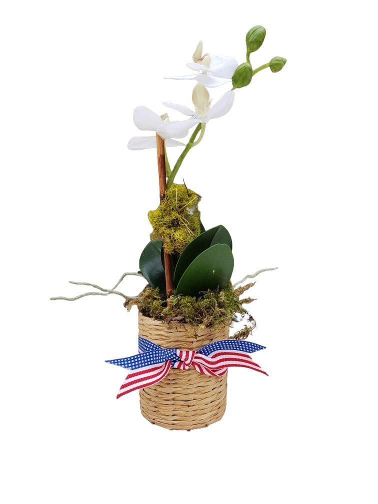 Faux Phalaenopsis Orchid - Mini 11" - Single Stem