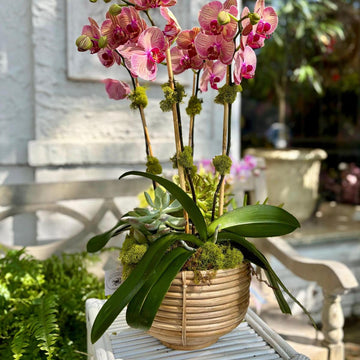Footed Cane Planter | Deep Woven Rattan Decorative Bowl