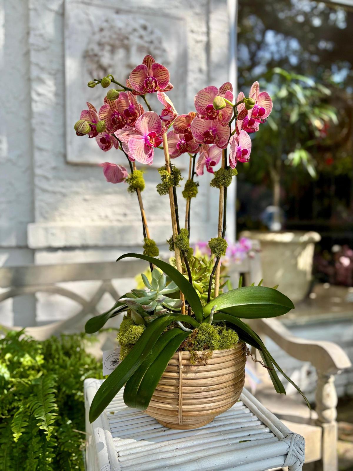 Footed Cane Planter | Deep Woven Rattan Decorative Bowl