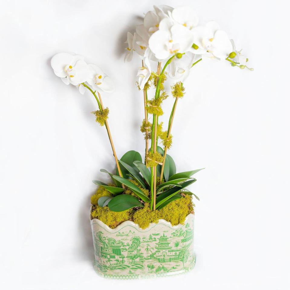 Green Willow Scalloped Footbath Planter