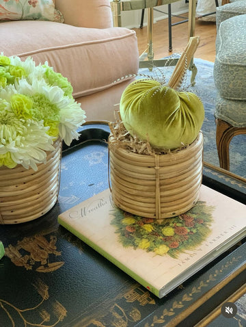 Classic Cane Cachepot