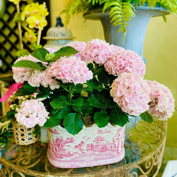 Pink Willow Scalloped Footbath Planter