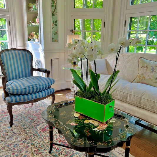 Tole Rectangular Planter | Handpainted Metal Planter with Gold Ring Handles