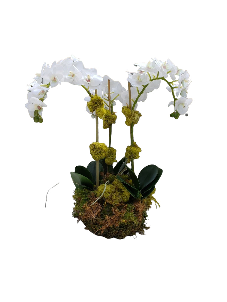 Faux Orchid - Phal 15.5 inch Bowl Style Three Stem