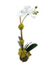 Faux Orchid - Phal 14.5 inch Single Stem
