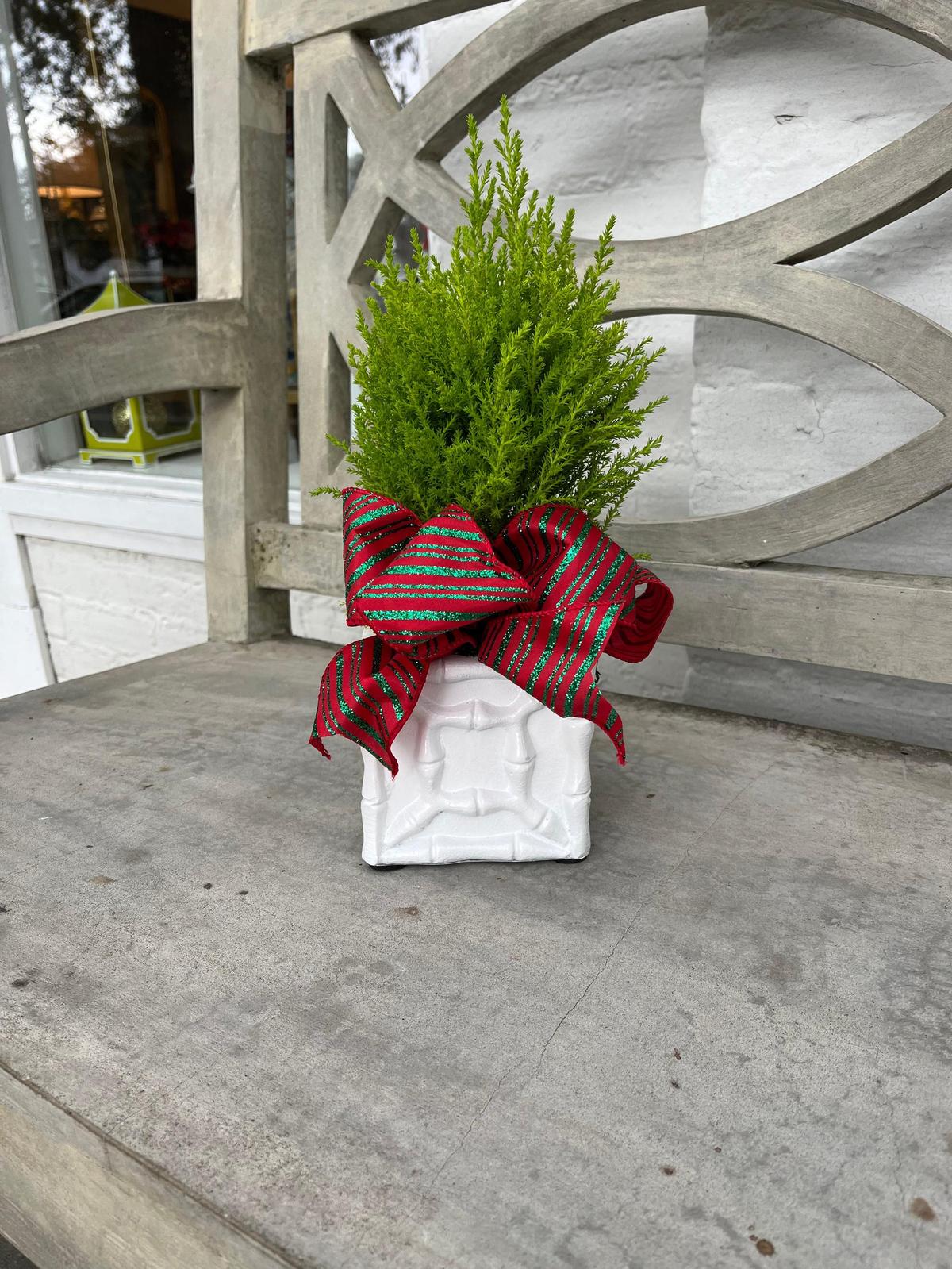Faux Bamboo Cachepot | Painted Metal Planter Box