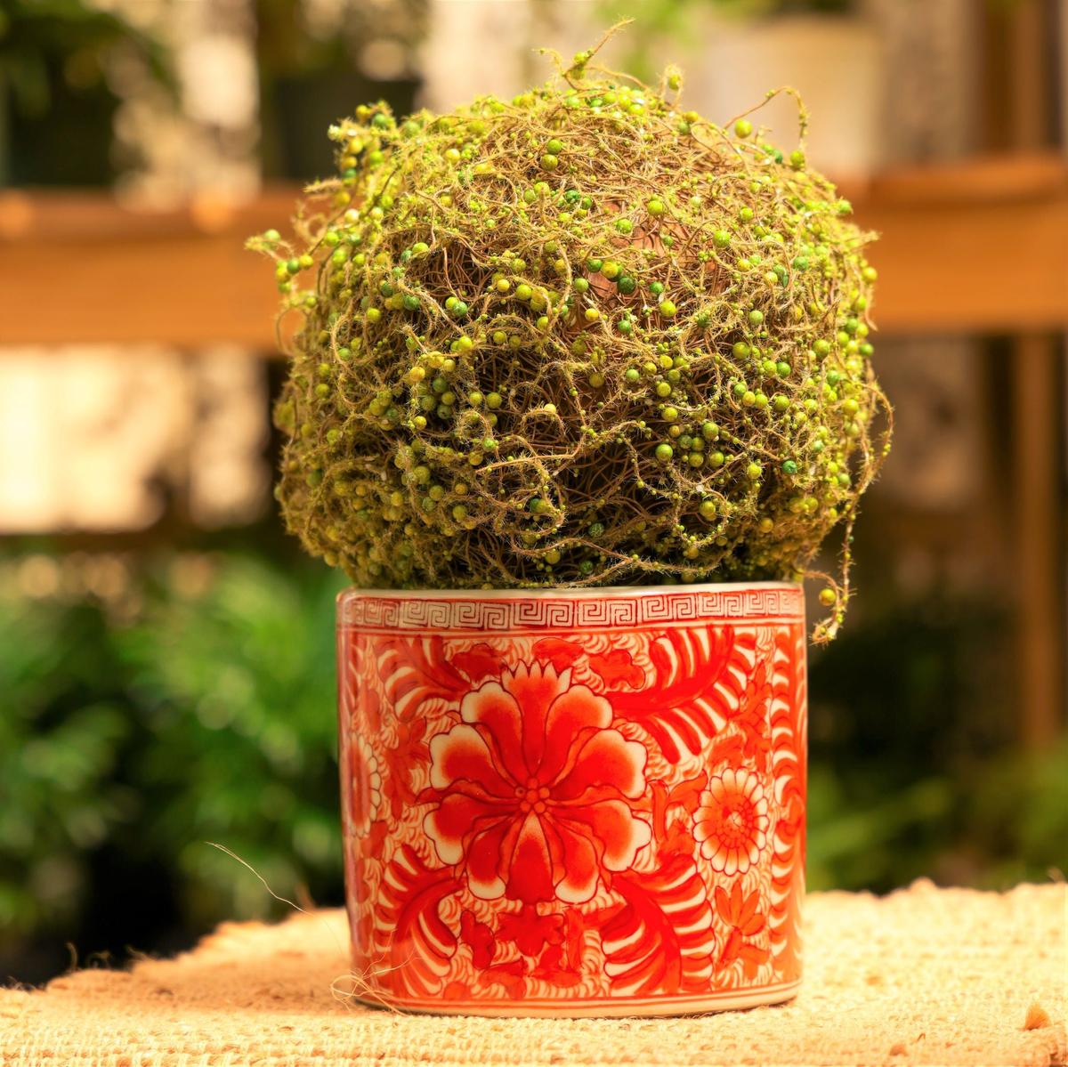 Orange & White Porcelain Brush Pot Planter