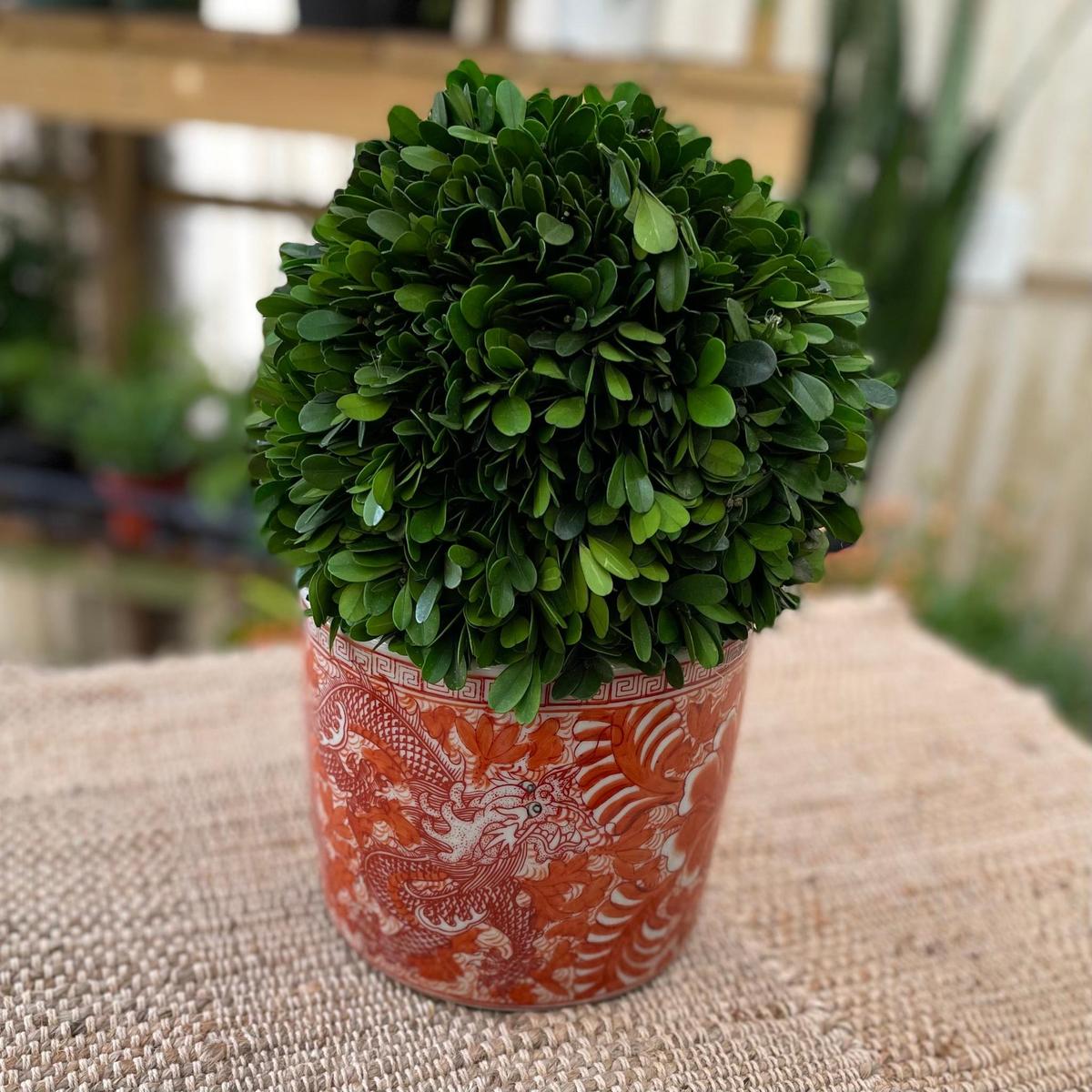 Orange & White Porcelain Brush Pot Planter