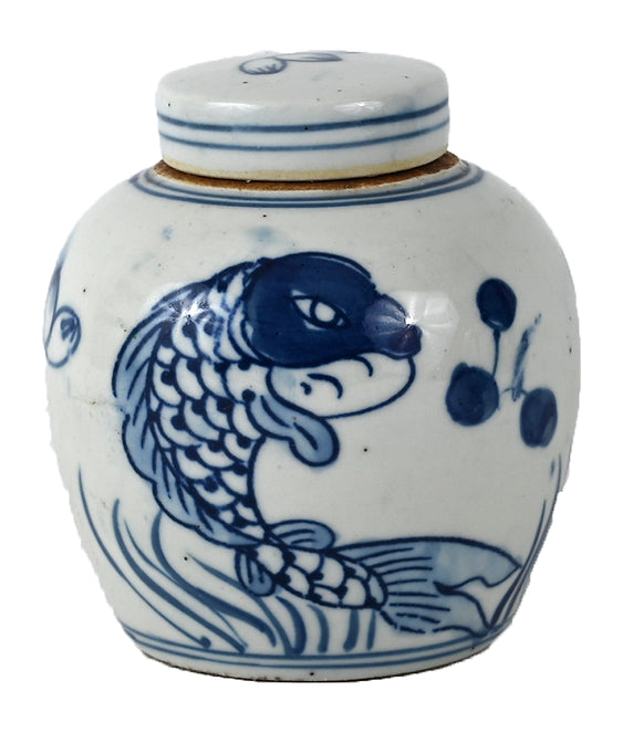 Blue & White Porcelain Baby Fish Ginger Jar