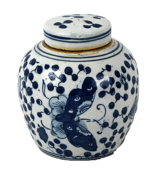 Blue & White Porcelain Butterfly Ginger Jar