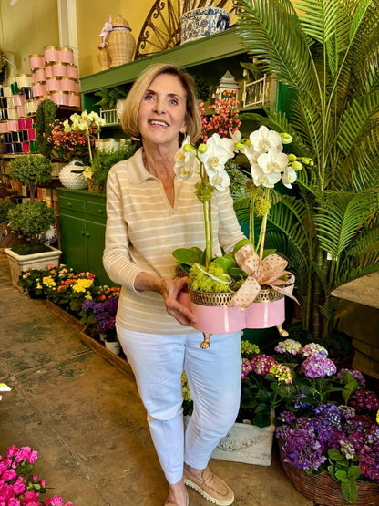 Banded Tole Quatrefoil Planter | Hand-painted Metal Cachepot Planter | Elegant Gold Claw Feet and Gold Banded Detail