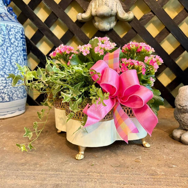 Banded Tole Quatrefoil Planter | Hand-painted Metal Cachepot Planter | Elegant Gold Claw Feet and Gold Banded Detail