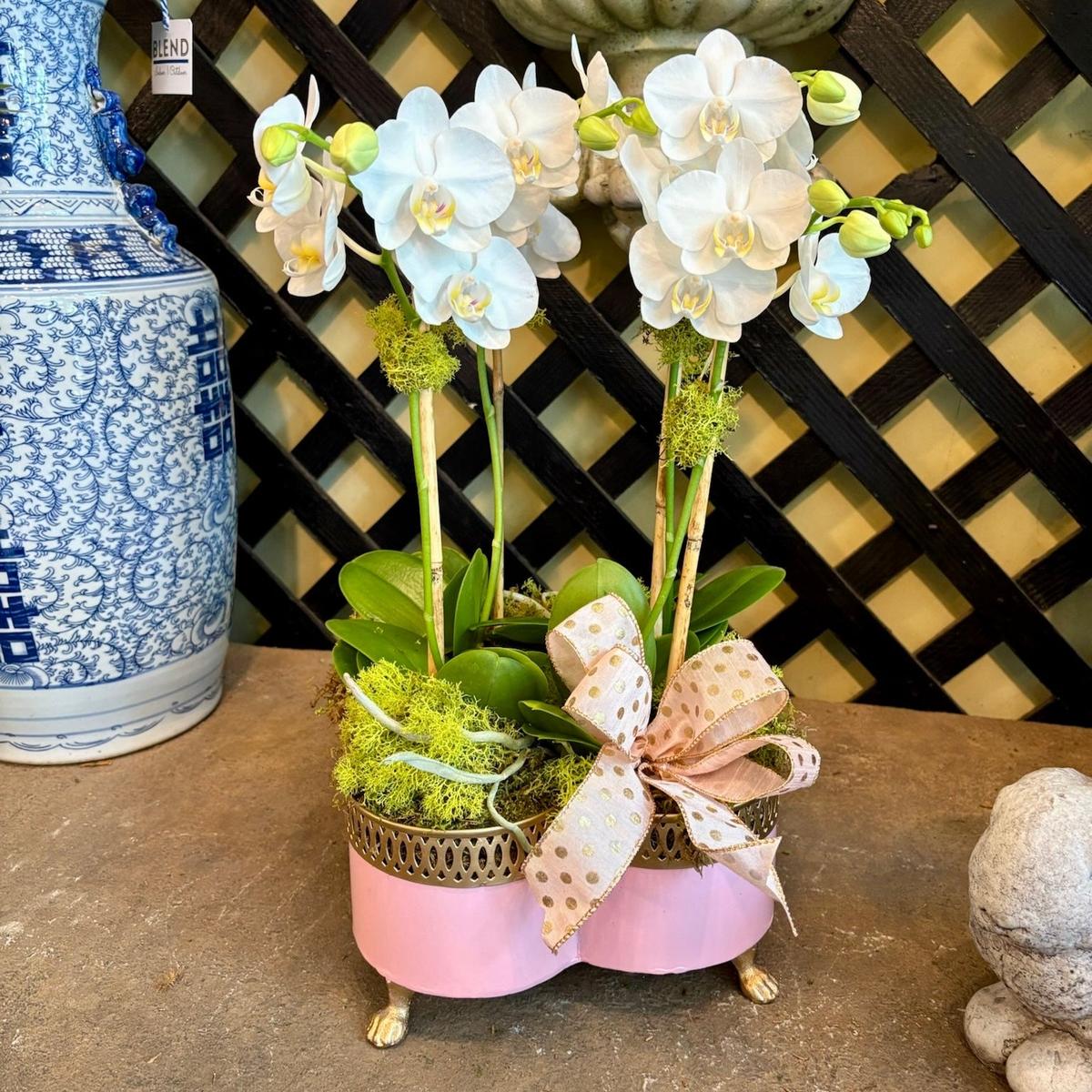Banded Tole Quatrefoil Planter | Hand-painted Metal Cachepot Planter | Elegant Gold Claw Feet and Gold Banded Detail