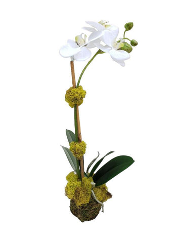 Faux Phalaenopsis Orchid - 14.5" - Single Stem
