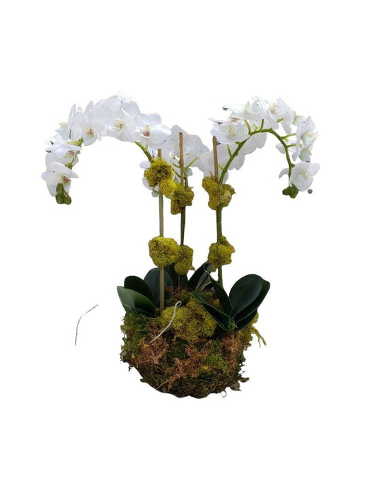 Faux Phalaenopsis Orchid - 15.5" - Bowl Style - Triple Stem