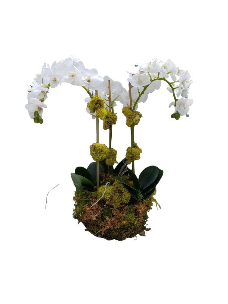 Faux Phalaenopsis Orchid - 15.5" - Bowl Style - Triple Stem