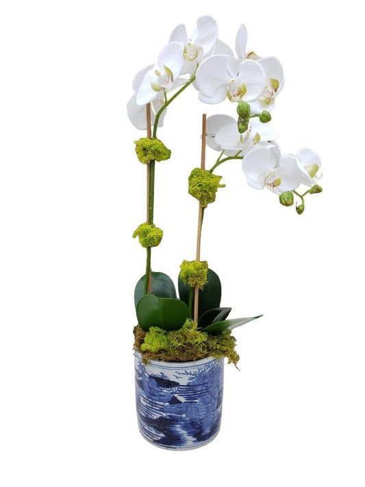 Faux Phalaenopsis Orchid - 22.5" - Double Stem