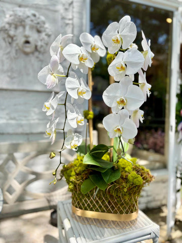 French Wire Planter | Metal Centerpiece | Elegant Garden Basket