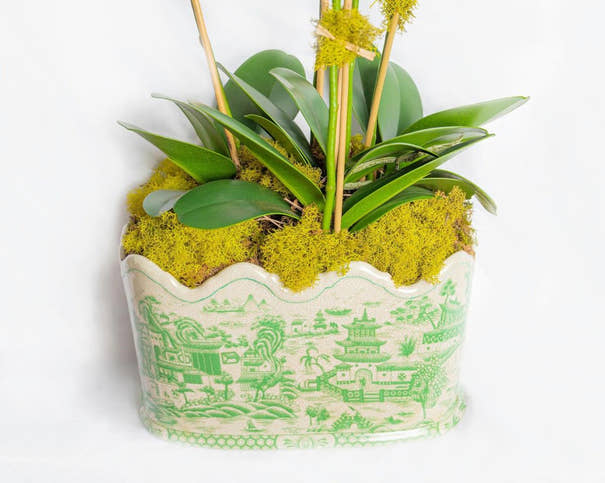 Green Willow Scalloped Footbath Planter