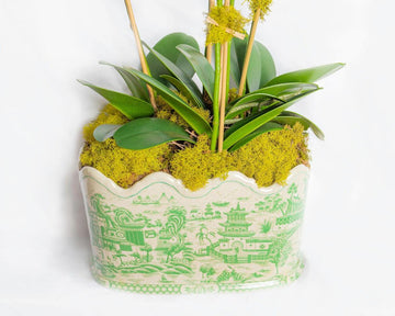 Green Willow Scalloped Footbath Planter