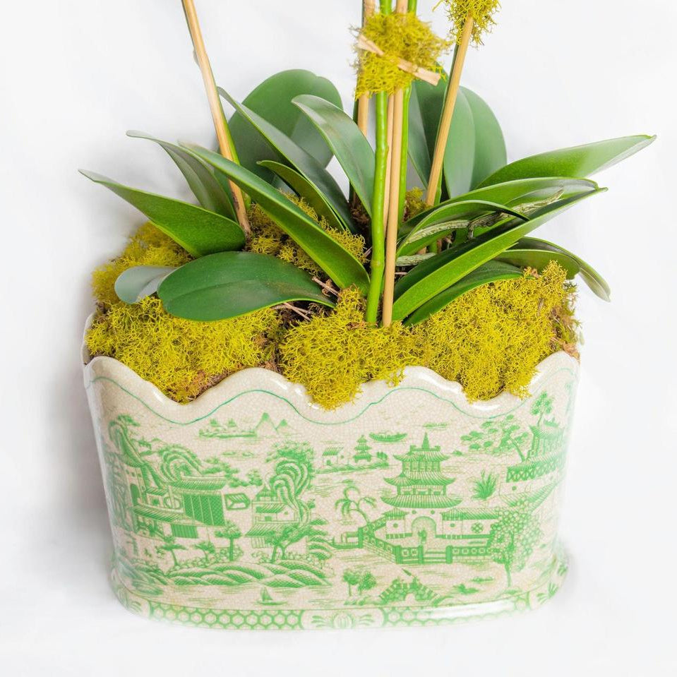 Green Willow Scalloped Footbath Planter