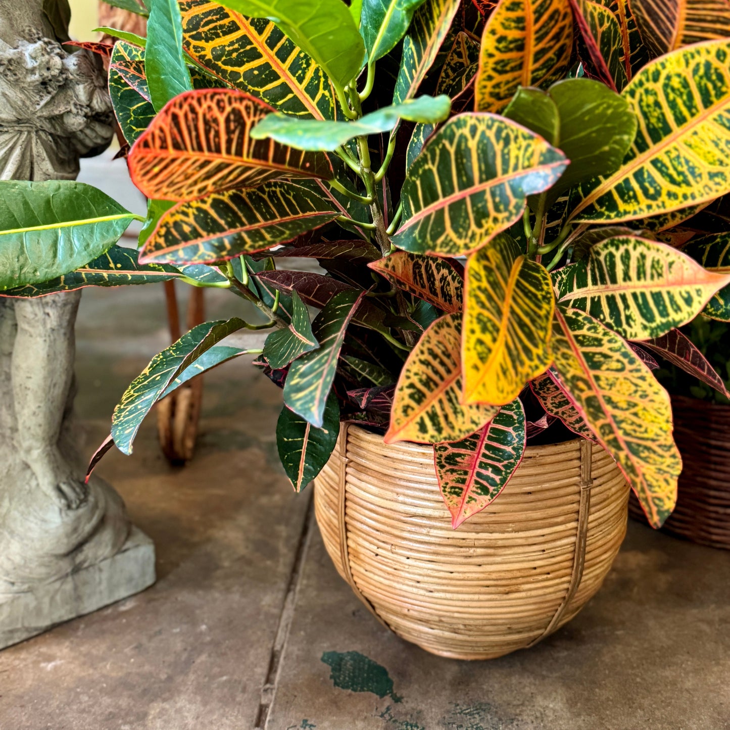 Footed Cane Planter | Deep Woven Decorative Bowl