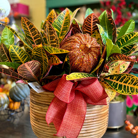 Natural Bamboo Hand-Crafted Rattan Planter