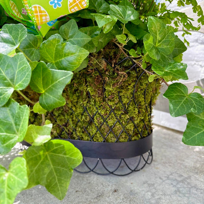Elegant French Wire Metal Planter Basket