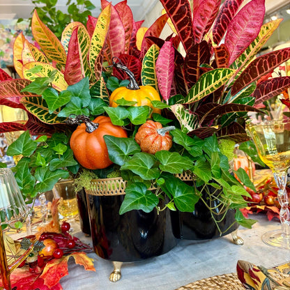 Banded Tole Quatrefoil Planter