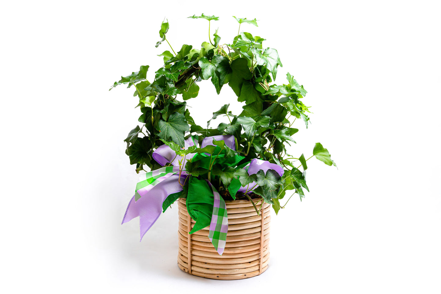 Classic Cane Planter | Handwoven Garden Cachepot