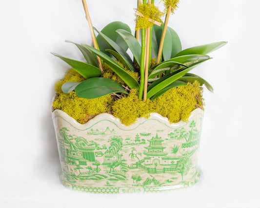 Green Willow Scalloped Footbath Planter
