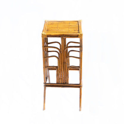 Rattan Plant Stand | Natural Bamboo Side Table