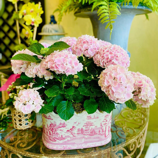 Pink Willow Scalloped Footbath Planter