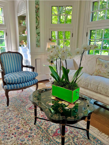 Tole Rectangular Planter | Handpainted Metal Planter with Gold Ring Handles