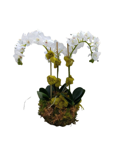 Faux Phalaenopsis Orchid - 15.5" - Bowl Style - Triple Stem
