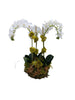 Load image into Gallery viewer, Faux Orchid - Phal 15.5 inch Bowl Style Three Stem