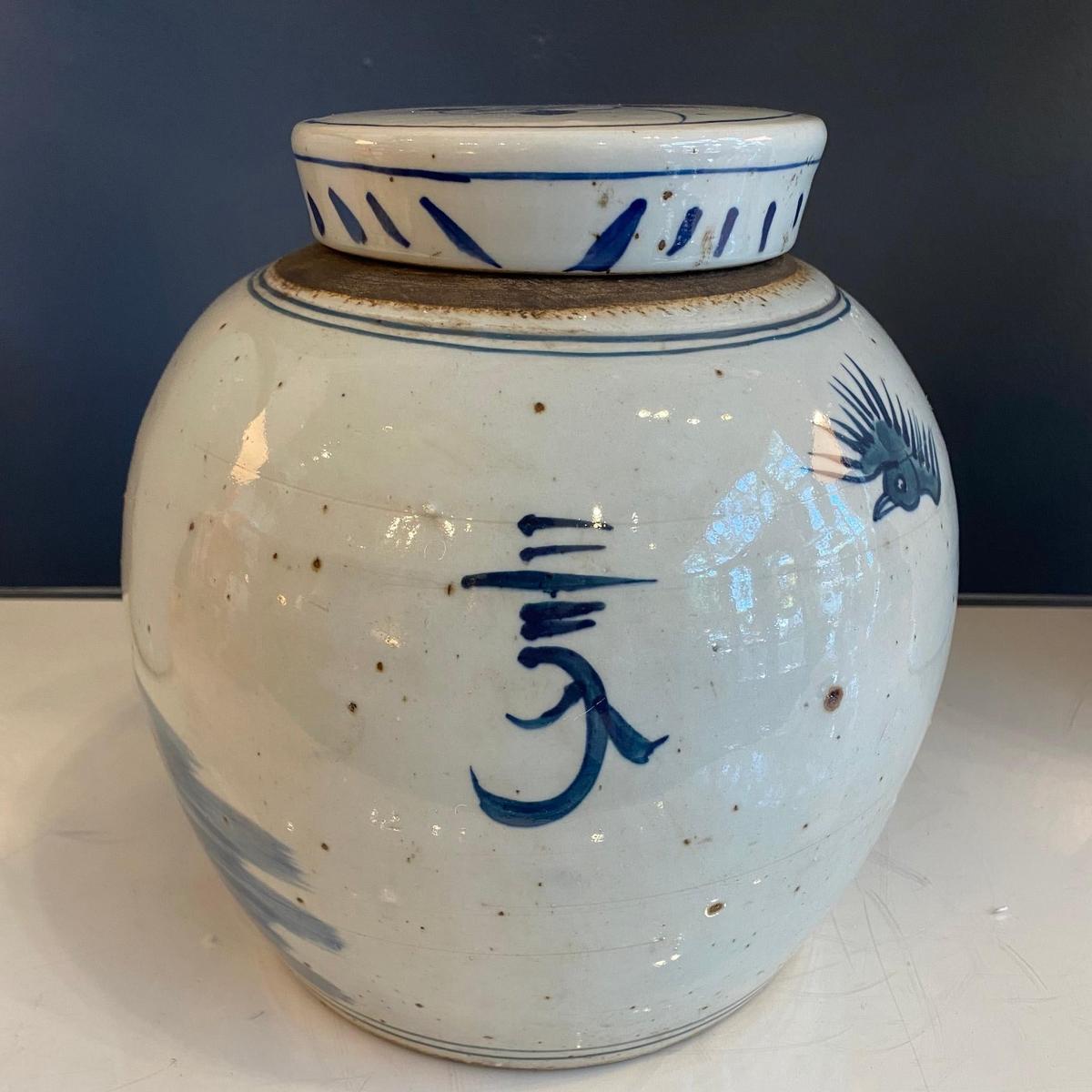 Blue & White Porcelain Bird Ginger Jar
