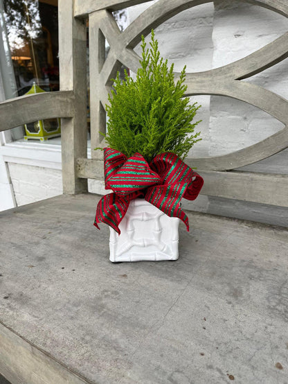 Faux Bamboo Cachepot | Painted Metal Planter Box