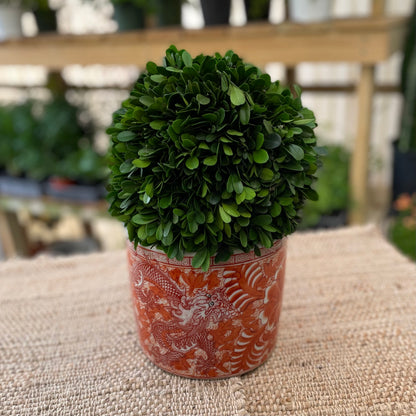 Orange & White Porcelain Brush Pot Planter
