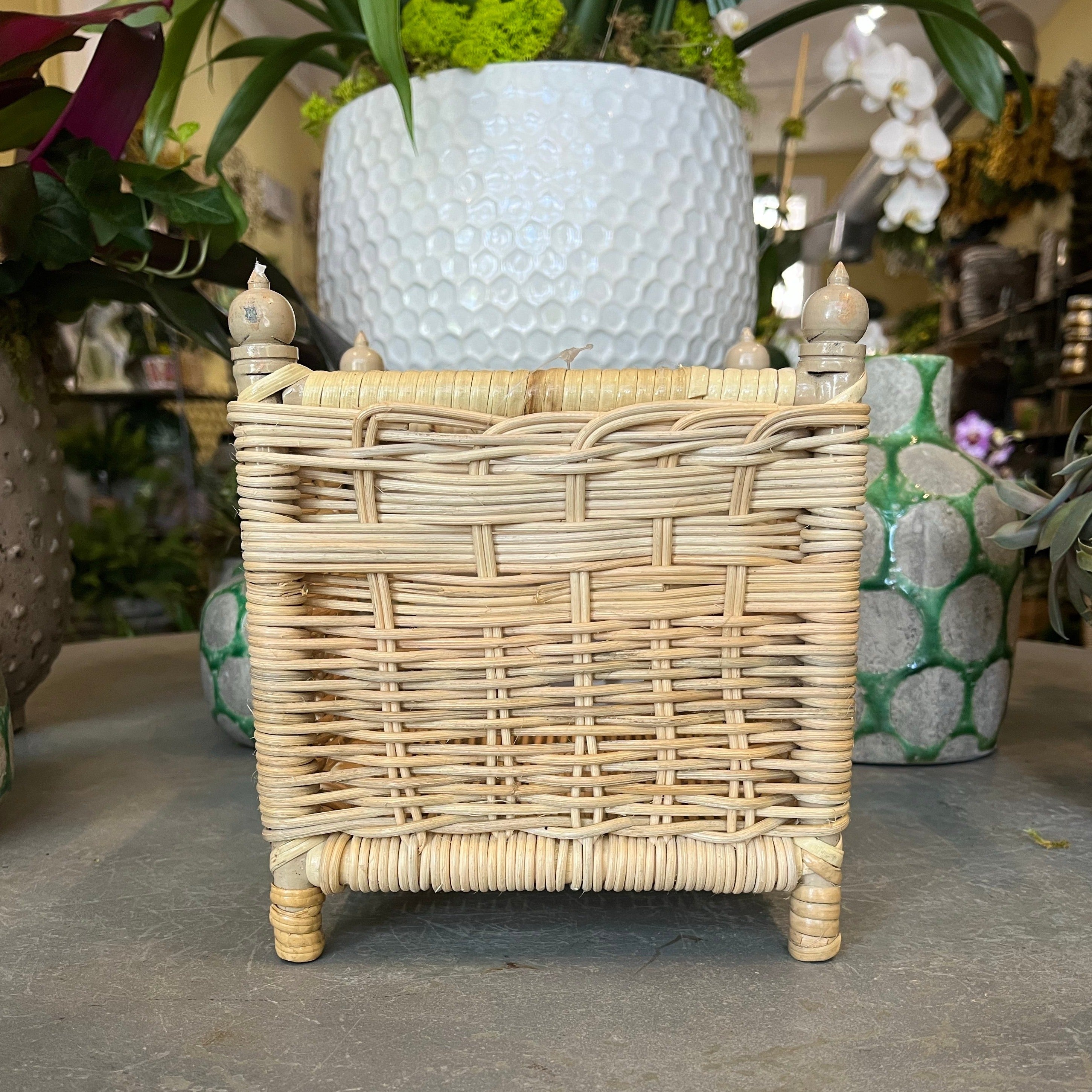Wicker Box Planter