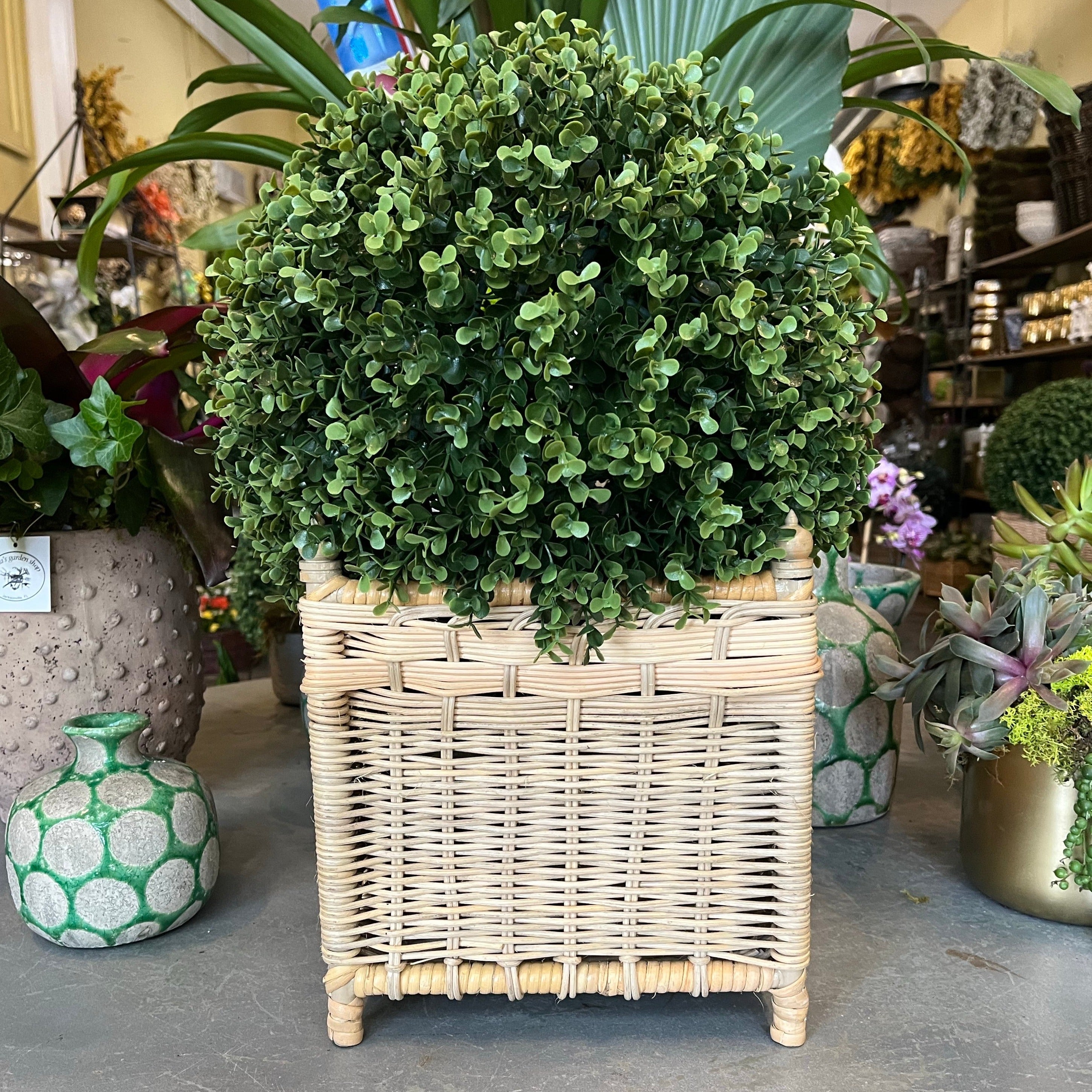 Wicker Planter with Boxwood Ball